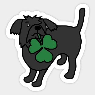 St Patricks Day Dog with Shamrock Sticker